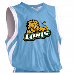 Foster-lion DISCONTINUED Reversible Basketball Jersey - Adult Downtown - Teamwork Athletic - 1499