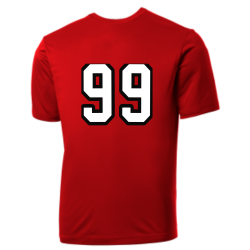 Nats Nationals MLB Adult League Team Jerseys - Official Nike MLB Wordmark Poly Tees - N223