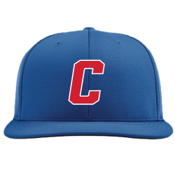 jumpman flex fit hat