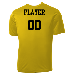 ILK Pirates MLB Little League Team Jerseys - Official Nike Youth MLB Wordmark Poly Tees - NY233