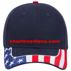 charlene4levy.com Low Pro Pre Embroidered Otto Cap