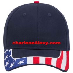 charlene4levy.com Low Pro Pre Embroidered Otto Cap