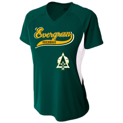 womens Ladies Volleyball Jersey