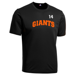 14 Giants MLB Little League Team Jerseys - Official Nike Youth MLB Wordmark Poly Tees - NY224
