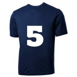 Detroit-ll Tigers MLB Little League Team Jerseys - Official Nike Youth MLB Wordmark Poly Tees - NY239