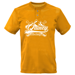 quincy-mens Adult 2 Button Mesh Baseball Jerseys