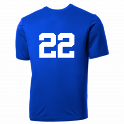 22 Cubs MLB Little League Team Jerseys - Official Nike Youth MLB Wordmark Poly Tees - NY223