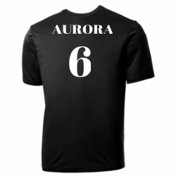 Aurora White Sox MLB Adult League Team Jerseys - Elevate Your Game in Nike Wordmark Poly Tees - NY241