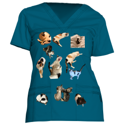 Sean Dickies Medical Youtility V-Neck Top