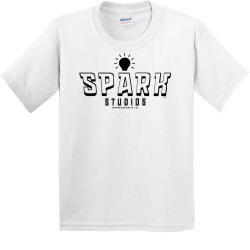 kids Boys 100% Cotton T-Shirt