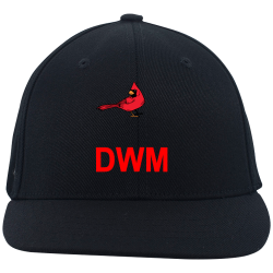 DWM Order Custom Printed Flexfit Cap | Unisex Pacific Headwear Wool Combo Umpire Flexfit Cap