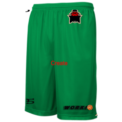 Mal-basketball-shorts Youth Mesh Shorts