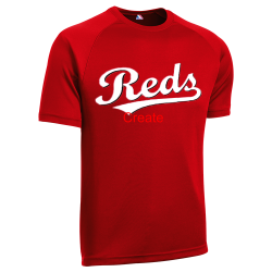 Reds Youth Reds MLB Replica T-Shirt - MAGY23
