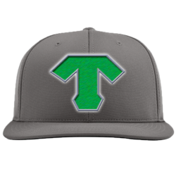 Tigers Adult Flex Fit Hat