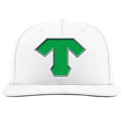 Tigers Adult Flex Fit Hat