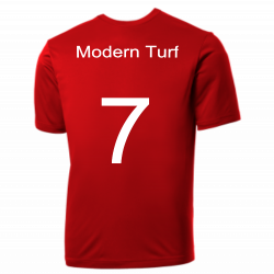 Phils Phillies MLB Little League Team Jerseys - Official Nike Youth MLB Wordmark Poly Tees - NY232