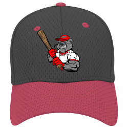 Big-Sticks Low Pro Style Otto Cap