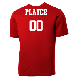 PLAYER-00 Nationals MLB Adult League Team Jerseys - Official Nike MLB Wordmark Poly Tees - N223