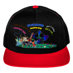 ADHD2 Two Color Cotton Snapback