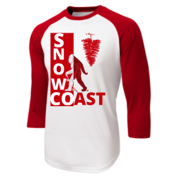 Sc DISCONTINUED Adult Raglan Baseball Shirts