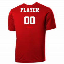 Ryan Angels MLB Little League Team Jerseys - Official Nike Youth MLB Wordmark Poly Tees - NY223