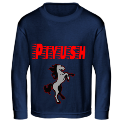 Aditya Kids Long Sleeve T-Shirts