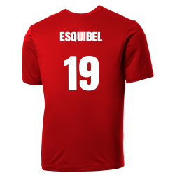 ESQUIBEL--19 Angels MLB Little League Team Jerseys - Official Nike Youth MLB Wordmark Poly Tees - NY223