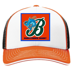 Kenton-organe Custom Sport Mesh Flexfit Hat