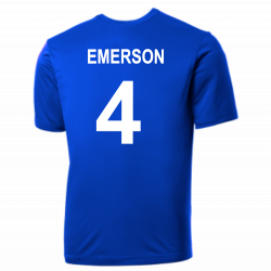 Cubs Cubs MLB Little League Team Jerseys - Official Nike Youth MLB Wordmark Poly Tees - NY223