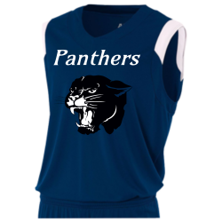 Panthers Youth V-Neck Custom Basketball Jerseys