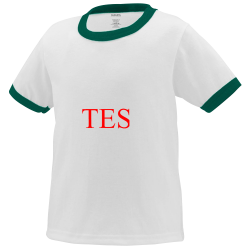 TEST Toddler Ringer T Shirt