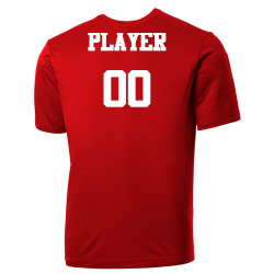 Test Cardinals MLB Little League Team Jerseys - Official Nike Youth MLB Wordmark Poly Tees - NY223