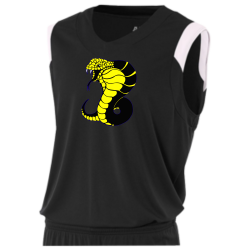 Bach ATENEO 23 SANTOS SANTOS 23 Adult V-Neck Custom Basketball Jerseys