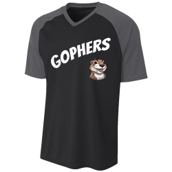 GOPHERS--2 Men's V-Neck Raglan Baseball Jersey
