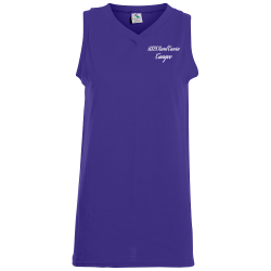 usps Ladies V-Neck Jersey