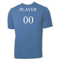 1 Rays MLB Little League Team Jerseys - Official Nike Youth MLB Wordmark Poly Tees - NY235