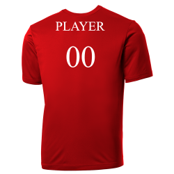 Create Phillies MLB Little League Team Jerseys - Official Nike Youth MLB Wordmark Poly Tees - NY232