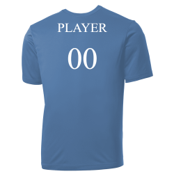 Ray-Adult-shirts Rays MLB Adult League Team Jerseys - Official Nike MLB Wordmark Poly Tees - N223