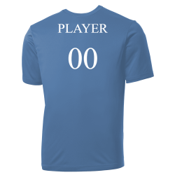 ray-2023-fall Rays MLB Little League Team Jerseys - Official Nike Youth MLB Wordmark Poly Tees - NY235