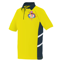 Manager-shirt Adult 3 Color Sport Polo Shirt