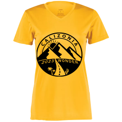 Test Ladies Wicking T-Shirt