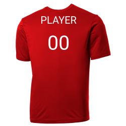 00 Cardinals MLB Adult League Team Jerseys - Official Nike MLB Wordmark Poly Tees - N223