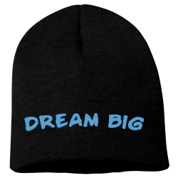 DREAM-BIG 9