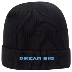 DREAM-BIG Otto Beanie