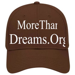 morethantest Low Pro Style Otto Cap