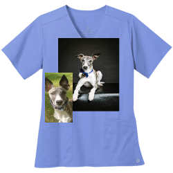 Create Order Embroidered Medical Uniform | Womens Wonderwink Medical Uniform Ww4560