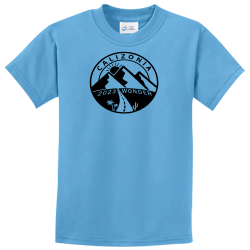 Create Design Screen Printed T-shirt | Unisex Port & Company T-shirt Pc61y