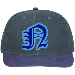 N Pro Style Otto Cap