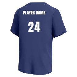 CUBS Cubs MLB Little League Team Jerseys - Official Nike Youth MLB Wordmark Poly Tees - NY223