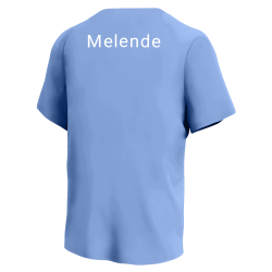 Melendez Rays MLB Little League Team Jerseys - Official Nike Youth MLB Wordmark Poly Tees - NY235